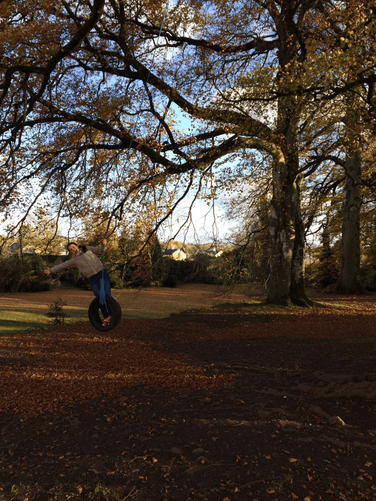 Tire Swing